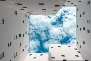 Survey shows: Digitalization is pushed by Corona
